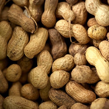 Cacahuètes en coque